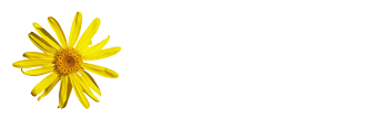 img-arnica-home
