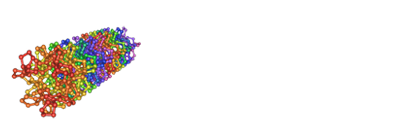 img-collagen-home
